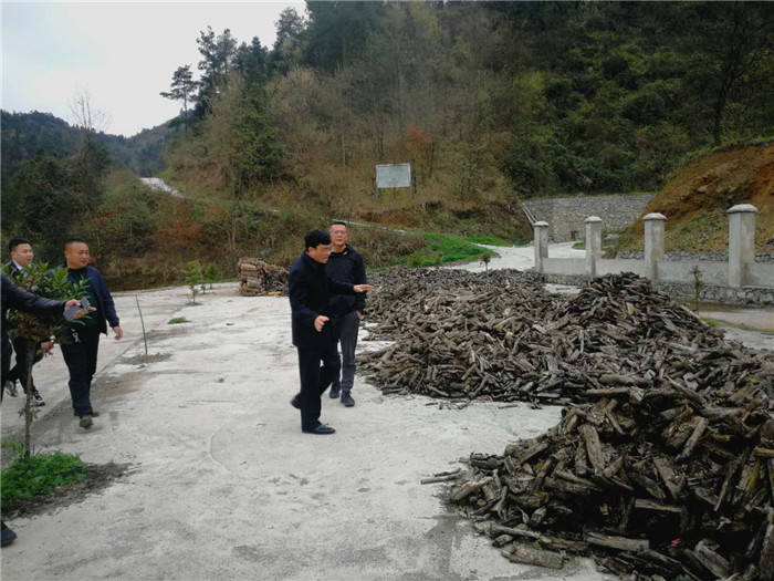集團公司黨委副書(shū)記成軍至德江康奇公司調研天麻產(chǎn)業(yè)發(fā)展情況