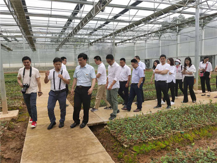 公司開(kāi)展“支部聯(lián)建謀奮進(jìn)，產(chǎn)業(yè)互鑒促發(fā)展”主題黨日活動(dòng)