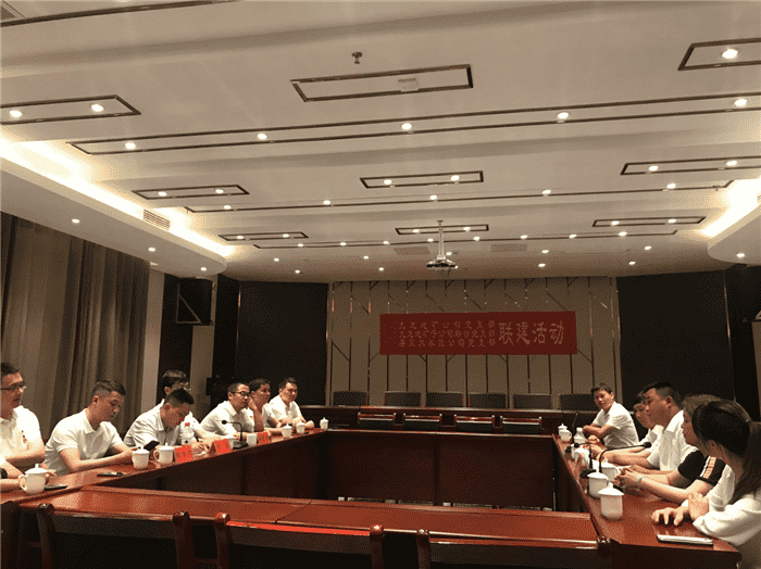 公司開(kāi)展“支部聯(lián)建謀奮進(jìn)，產(chǎn)業(yè)互鑒促發(fā)展”主題黨日活動(dòng)