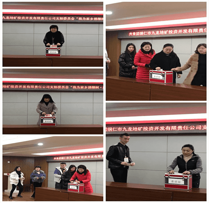 銅仁城投集團九龍地礦投資開(kāi)發(fā)公司 組織開(kāi)展“我為家鄉捐棵樹(shù)?同心共建春暉林”募捐活動(dòng)