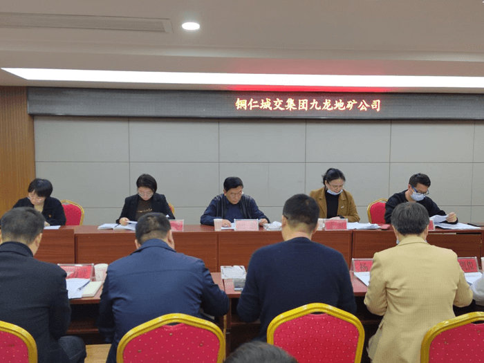 銅仁城投集團紀委到九龍地礦公司開(kāi)展政治生態(tài)分析研判及調研式監督檢查