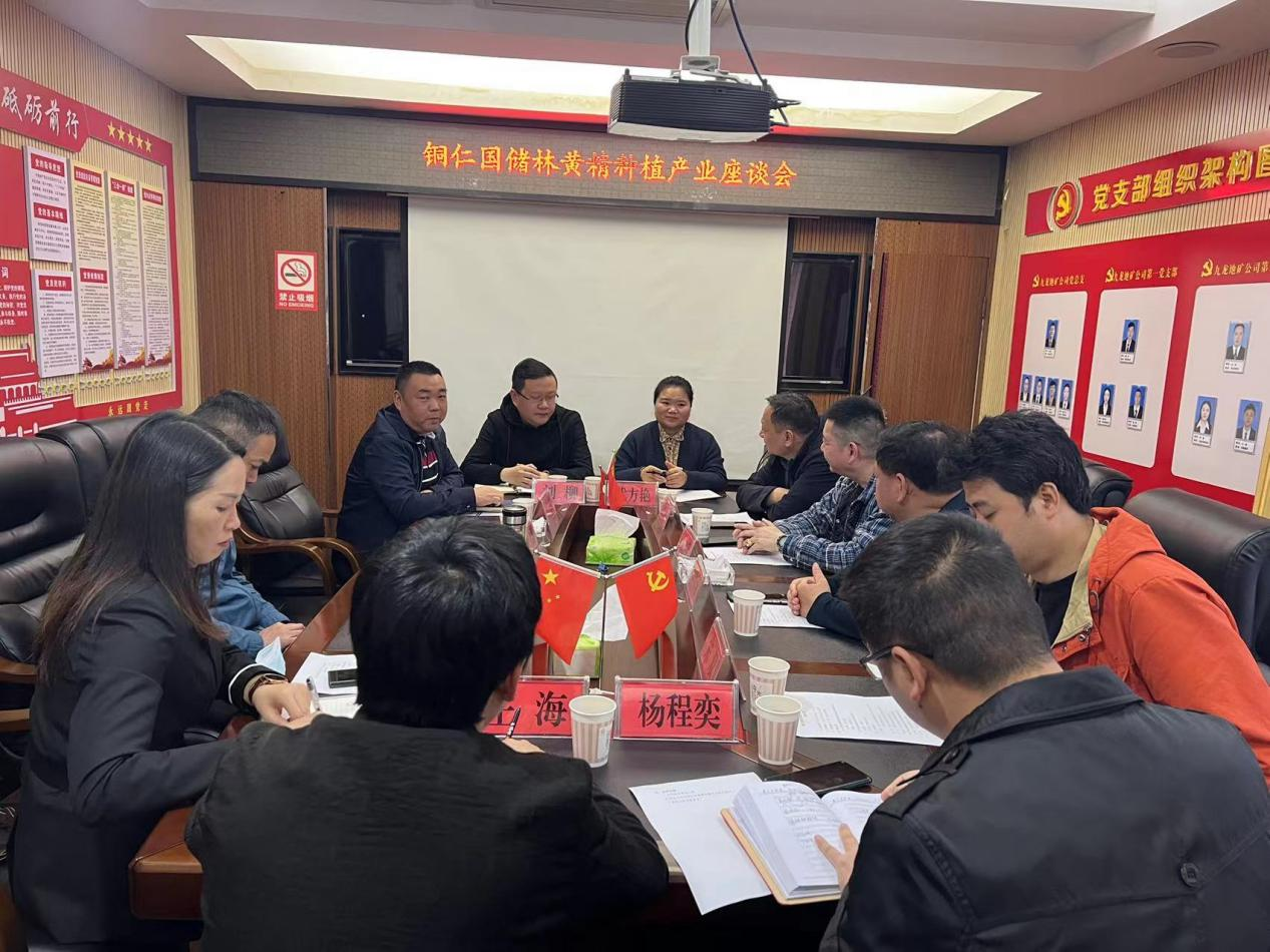 安啟明一行前來(lái)九龍地礦公司開(kāi)展國儲林產(chǎn)業(yè)座談