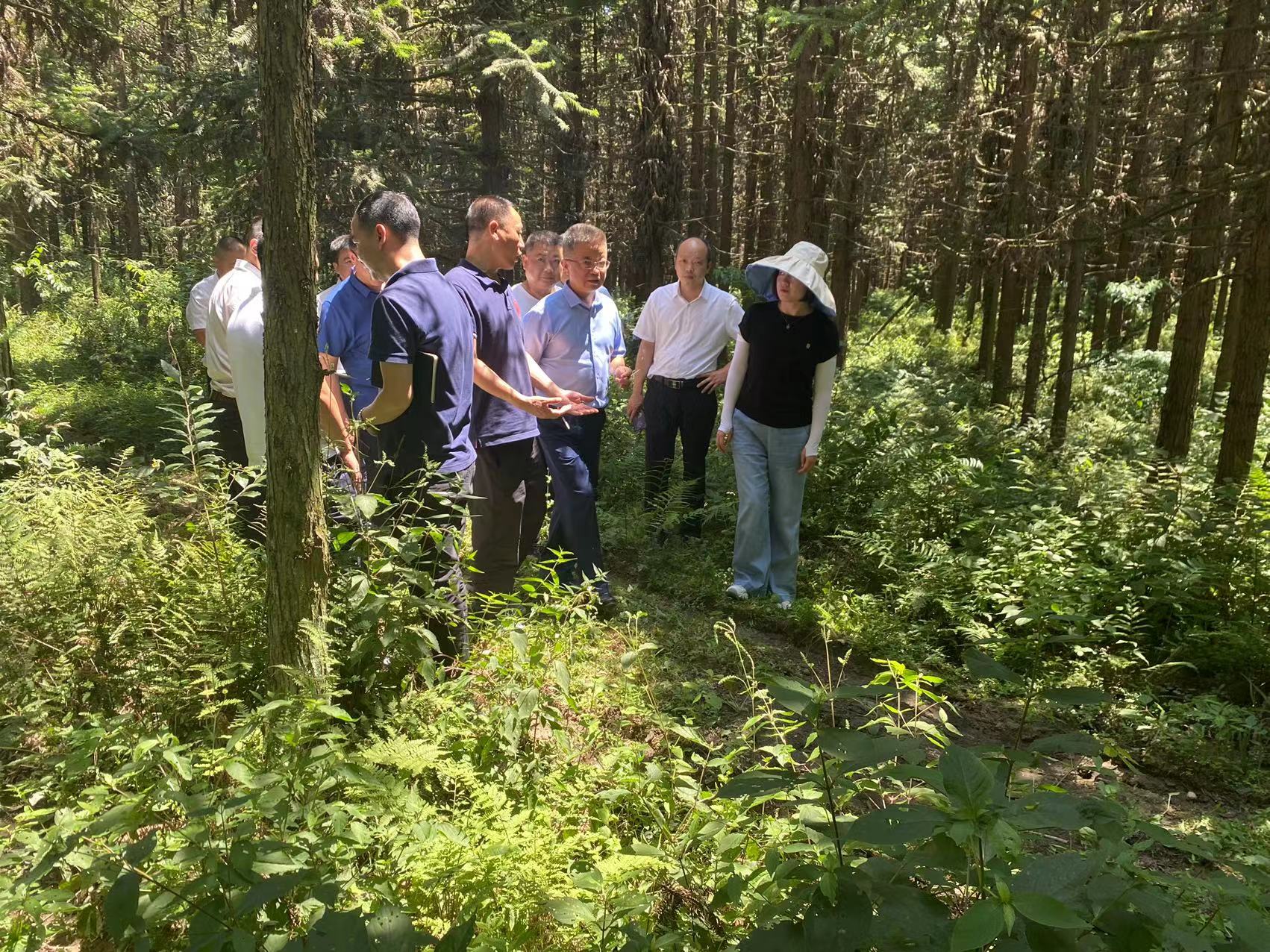 貴鹽集團黨委書(shū)記、董事長(cháng)任建生一行前往石阡縣考察羊肚菌種植基地選址工作