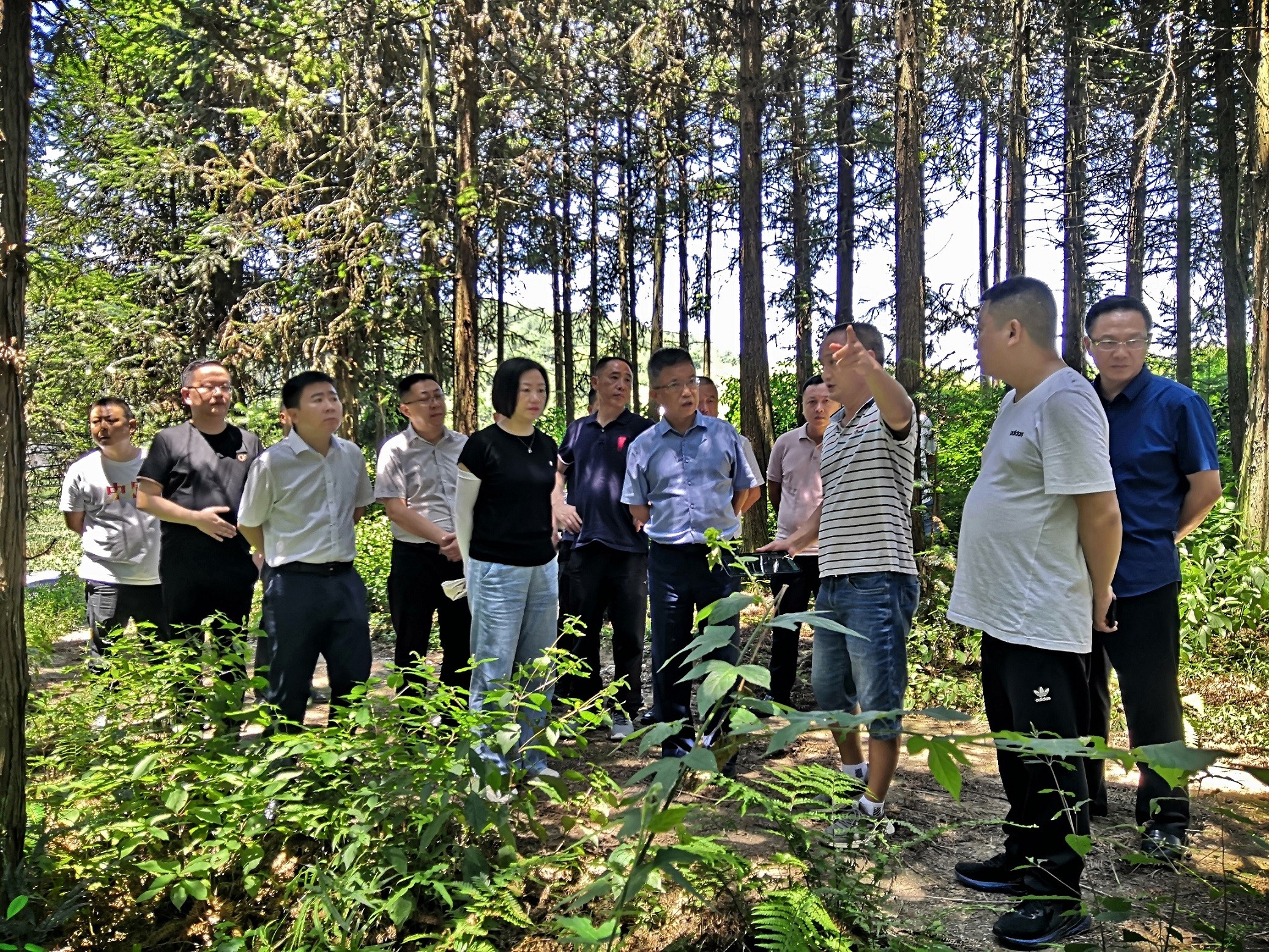 貴鹽集團黨委書(shū)記、董事長(cháng)任建生一行前往石阡縣考察羊肚菌種植基地選址工作