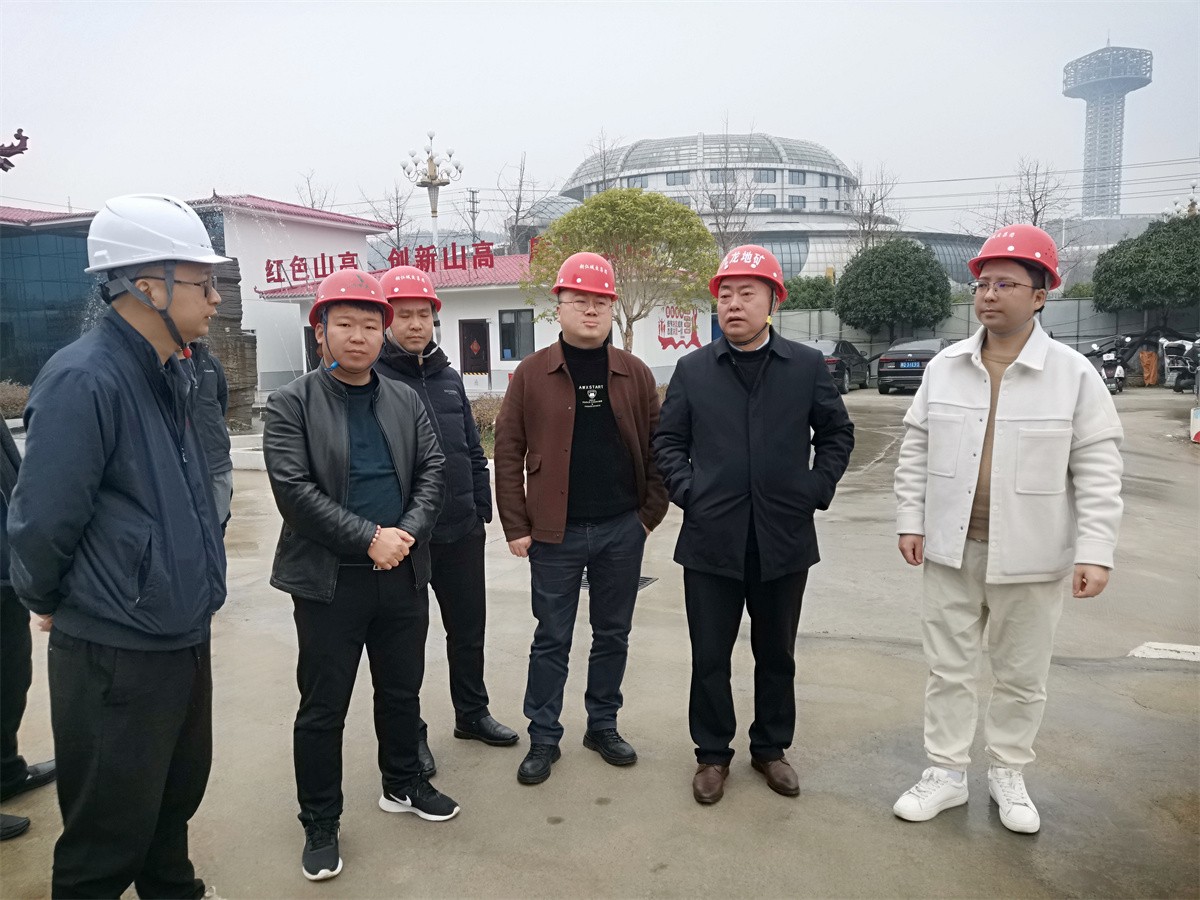 九龍地礦集團監事會(huì )主席田榮山帶隊赴 在建項目開(kāi)展實(shí)地督查