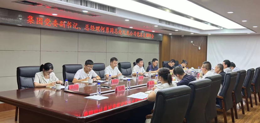 黨委副書(shū)記、總經(jīng)理何勇調研九龍地礦公司黨總支